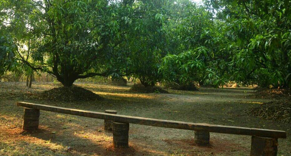 Jungle Book Konkan, Ratnagiri 3